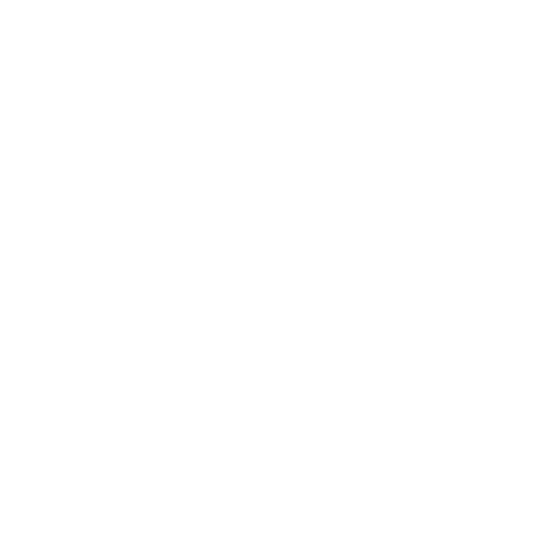 Ruezio logo